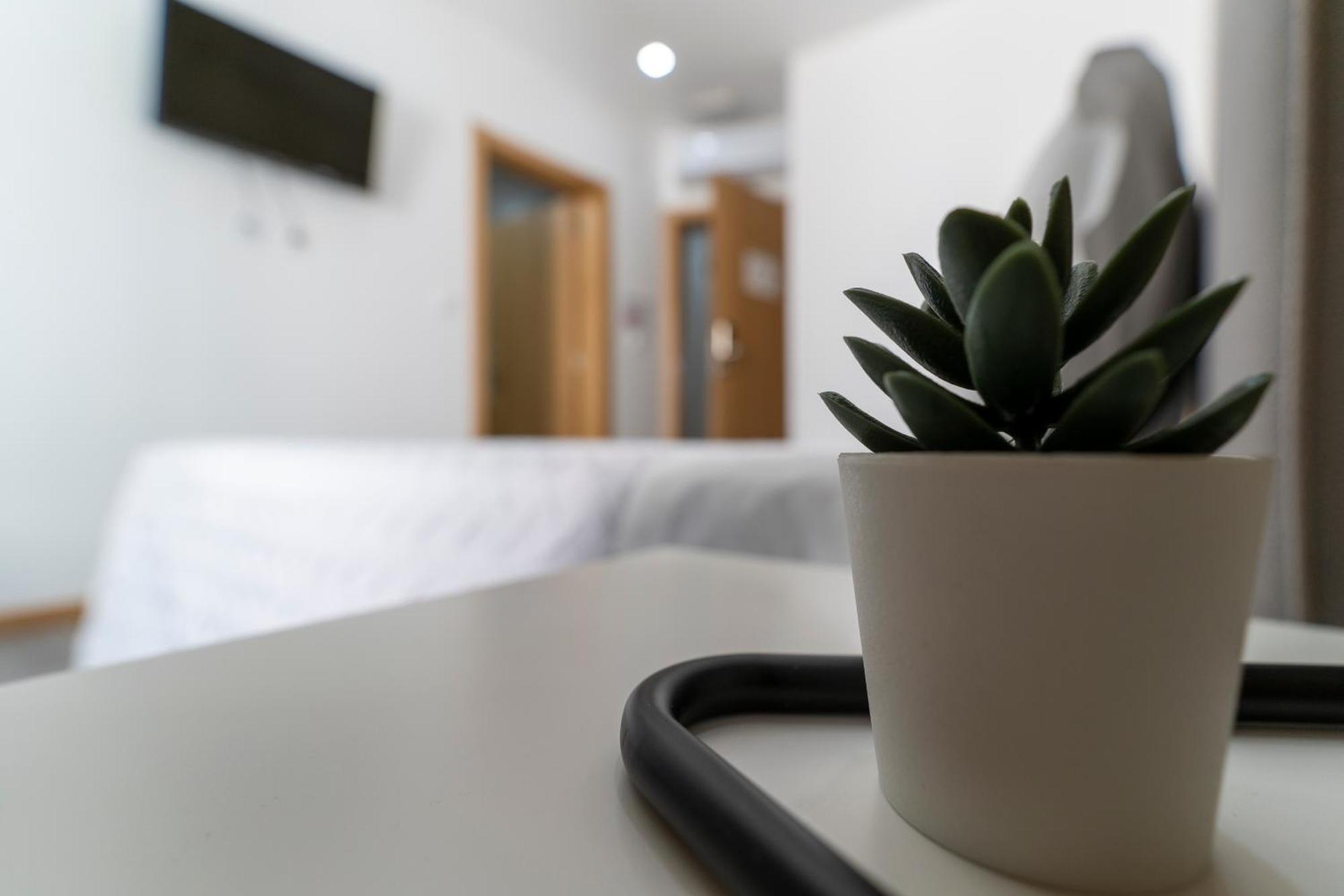 Alojamento Girassol - Guest House - Quarto Com Casa De Banho Privativa Кастело Бранко Екстериор снимка